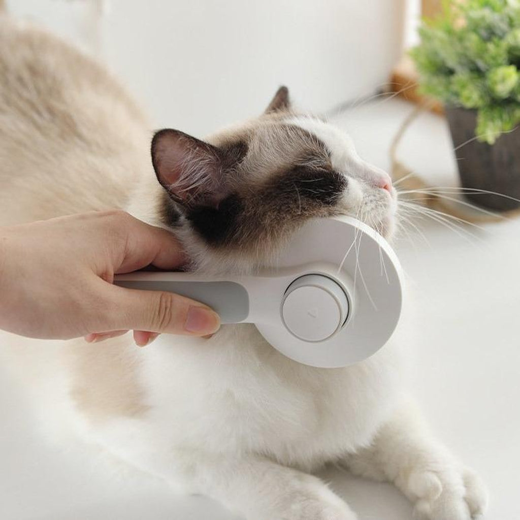 Escova Removedora de Pelos para Cães e Gatos | Varejo Shop