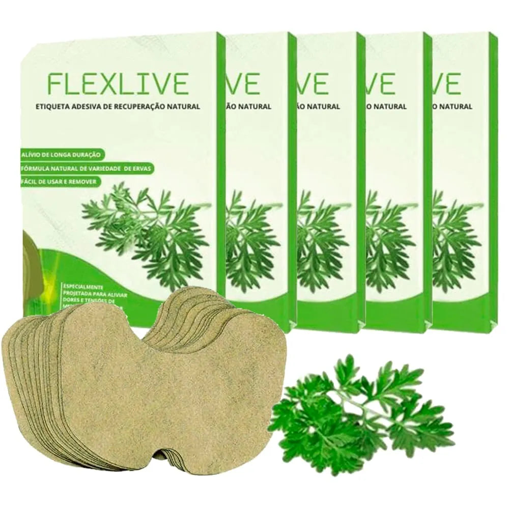 Kit 5 Pacotes Flexlive - Adesivo Multiuso