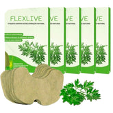 Kit 5 Pacotes Flexlive - Adesivo Multiuso